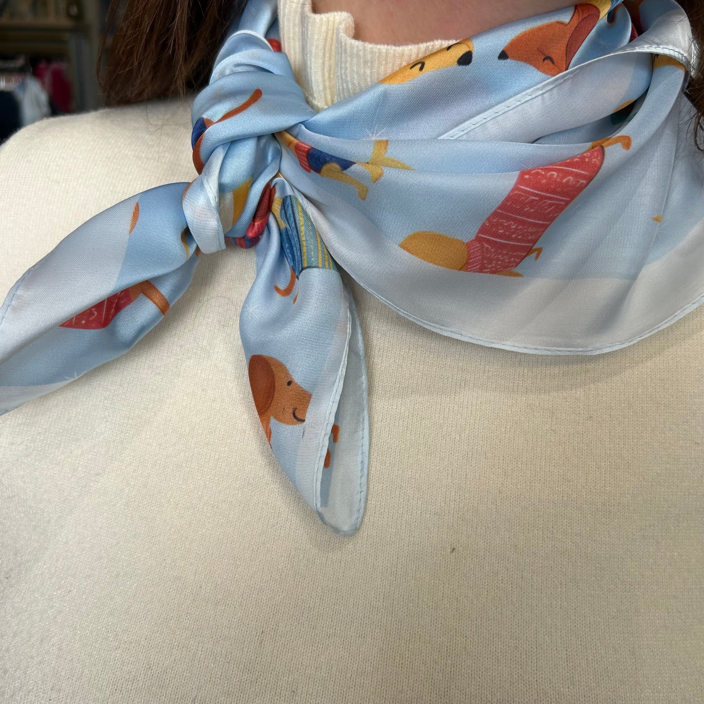 Foulard Teckel coloré