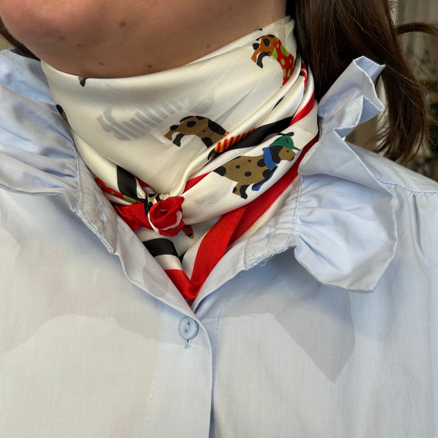 Foulard Teckel Satiné